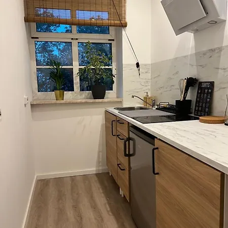 Domstadtdomizil - Kleine Hanse アパート エアフルト