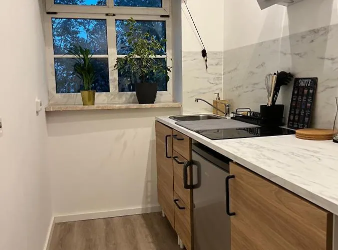 Domstadtdomizil - Kleine Hanse דירה ארפורט